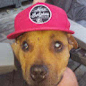 Meet your Posher, Devin